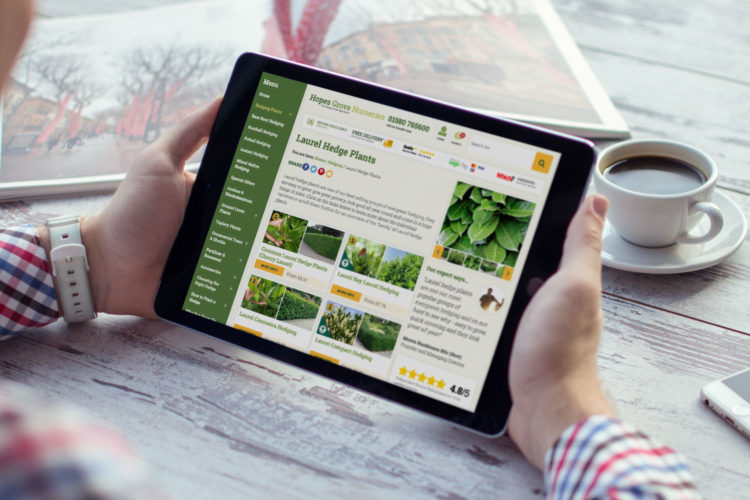 Custom WordPress and WooCommerce eCommerce website for Hopes Grove Nurseries shown on an iPad by Supersonic Playground